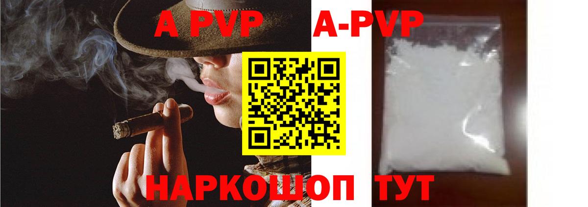Alfa_PVP СК Сокол