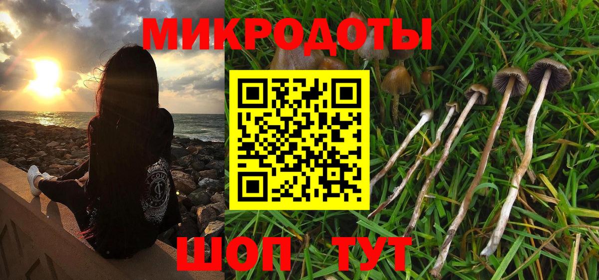 Псилоцибиновые грибы прущие грибы  Вход с VPN  Сокол 