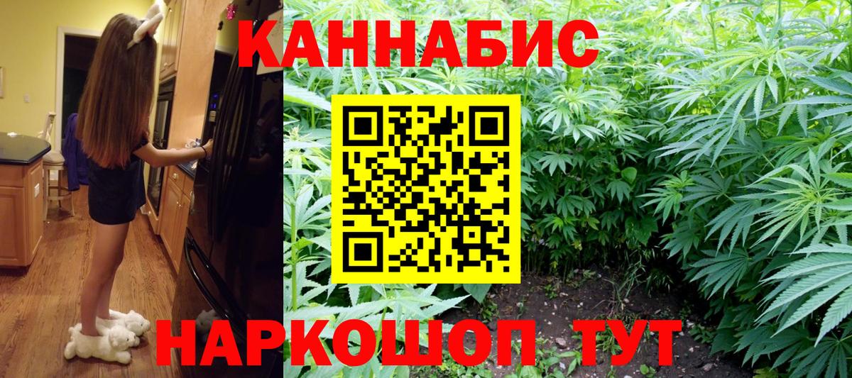 Бошки Шишки VHQ Сокол